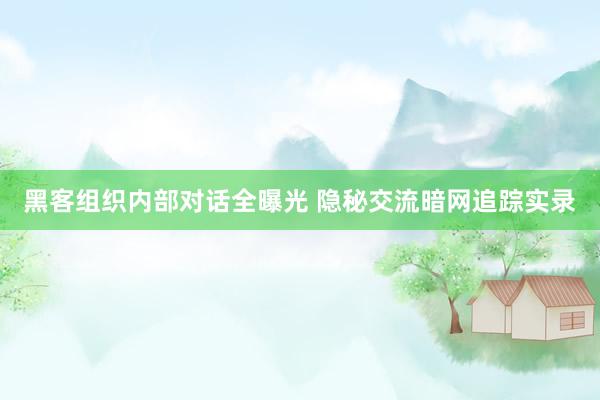 黑客组织内部对话全曝光 隐秘交流暗网追踪实录