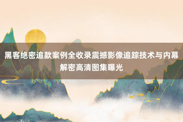 黑客绝密追款案例全收录震撼影像追踪技术与内幕解密高清图集曝光