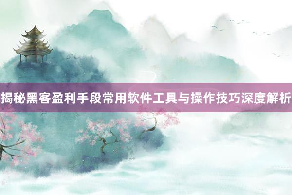 揭秘黑客盈利手段常用软件工具与操作技巧深度解析
